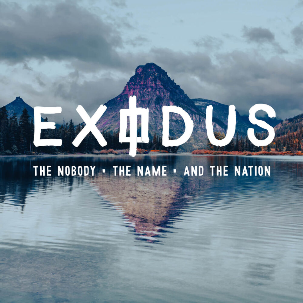 Exodus - The Nobody, The Name & The Nation